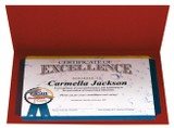 Certificate of Excellence